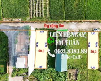 90M2 ĐẤT ĐẤU GIÁ SIÊU ĐẸP TẠI THÔN ĐẠI BẰNG - XÃ PHÚC THỊNH - TP. HÀ NỘI