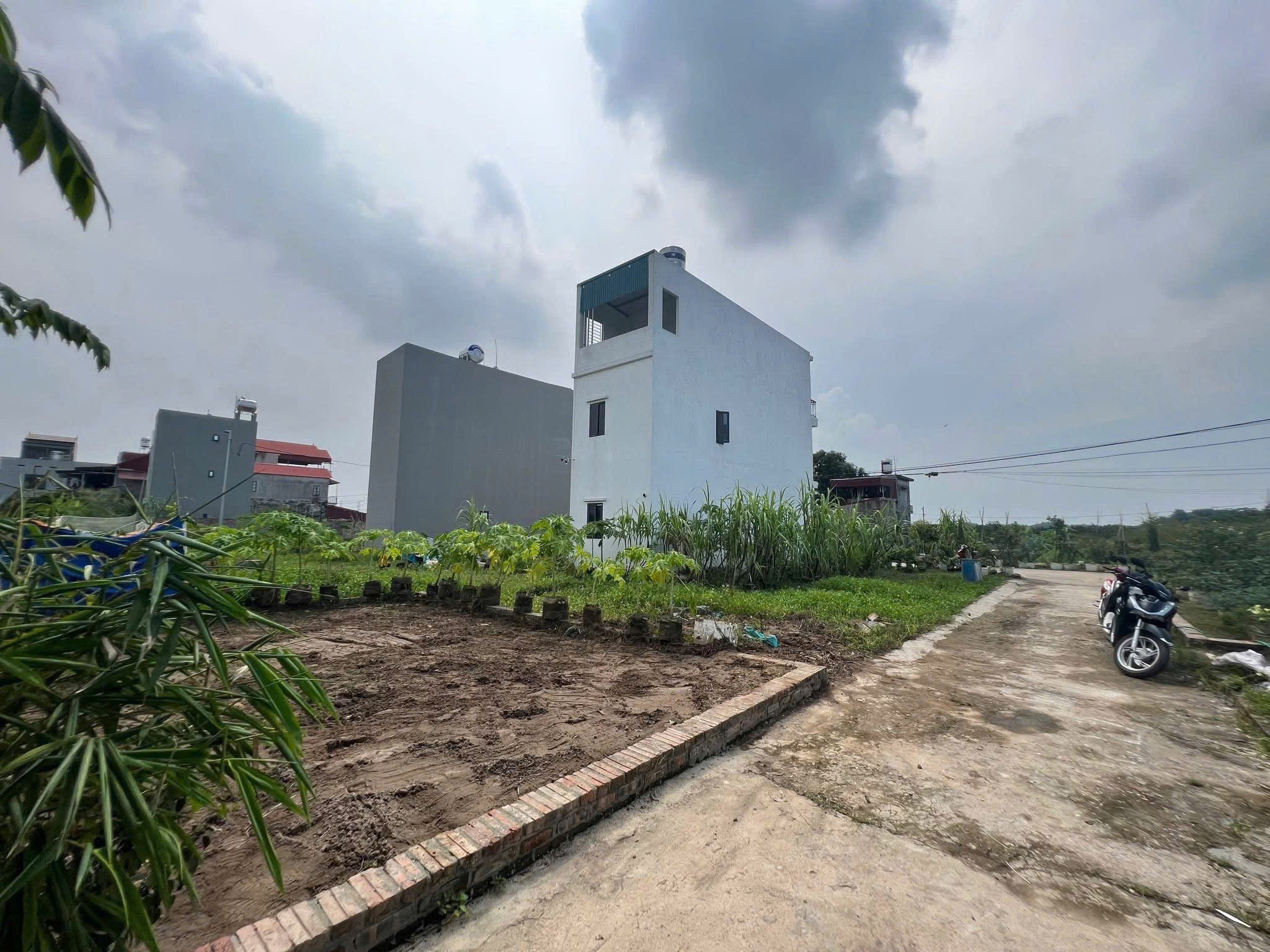 2.X TỶ 52M THỊ TRẤN QUANG MINH MÊ LINH HÀ NỘI ĐƯỜNG Ô TÔ TẢI VÀO ĐẤT