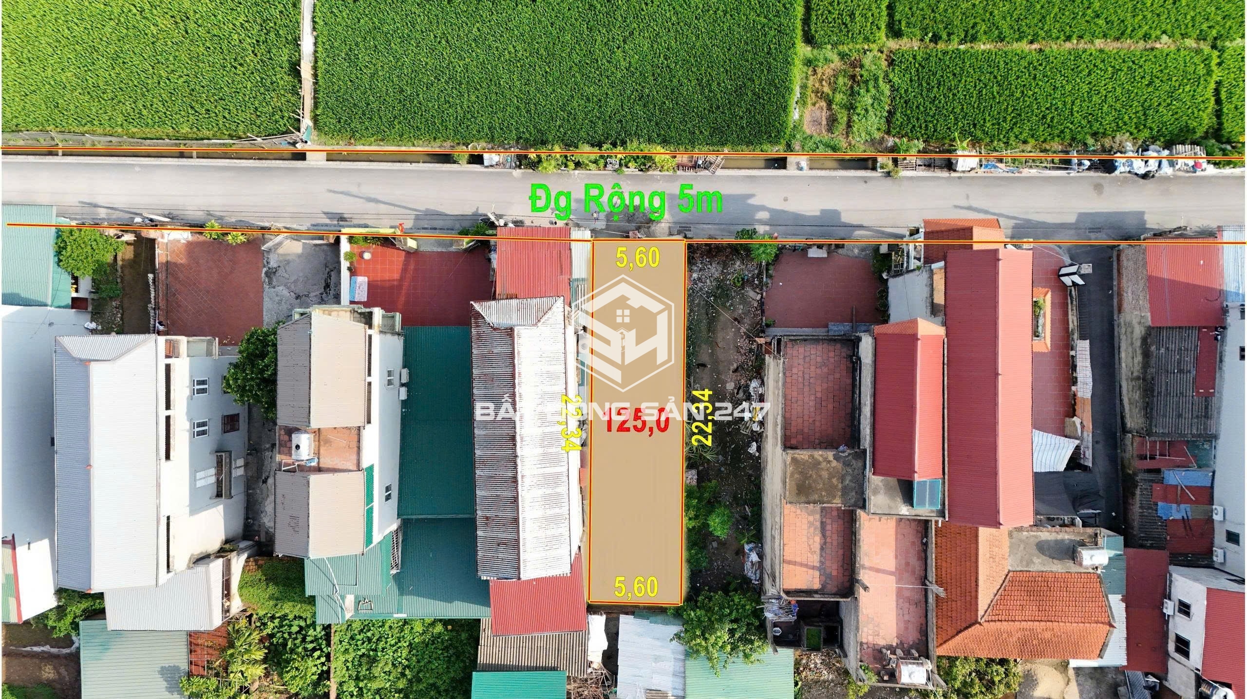 ⭐️ 125m² ĐẤT BÌA LÀNG ĐẸP THÔN ĐẠI BẰNG – XÃ NGUYÊN KHÊ – ĐÔNG ANH (XÃ PHÚC THỊNH MỚI)