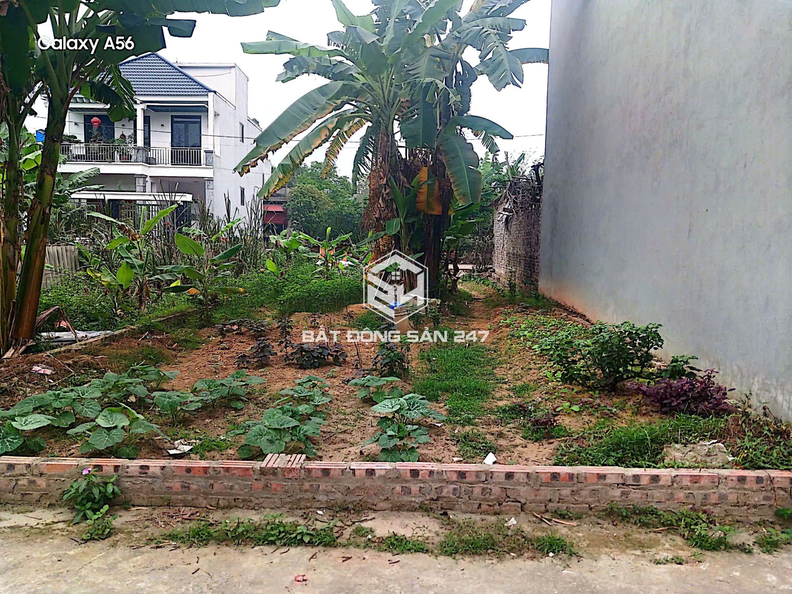 ⭐️ BÁN 2 LÔ ĐẤT GIÃN DÂN 120m² – THÔN ĐƯỜNG NHẠN – XUÂN NỘN (XÃ THƯ LÂM MỚI)