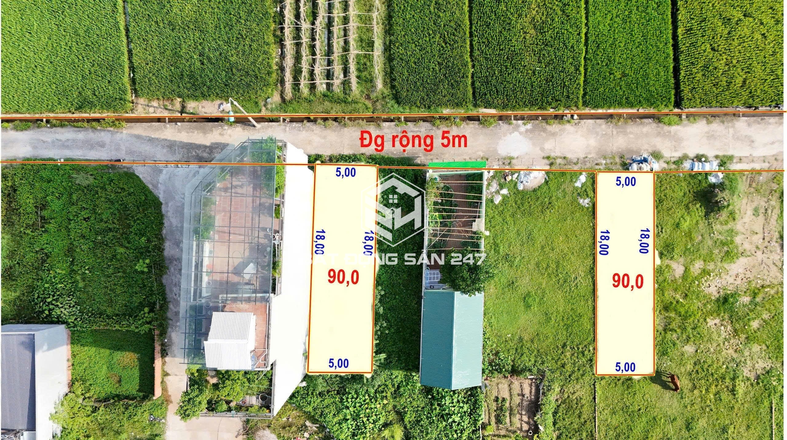 ⭐️ ĐẤT ĐẸP 90M² ĐẤU GIÁ – ĐẠI BẰNG – NGUYÊN KHÊ (PHÚC THỊNH – HÀ NỘI)